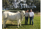 Visita fazenda Nelore Barreiro, nosso amigo Xiquinho