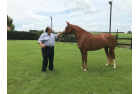Haras A.E.J.