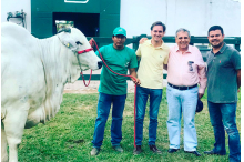 Hacienda Nelori -  Luís Saavedra Bruno