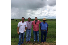 Visita Fazenda Guadiana - Nelore Guadalupe